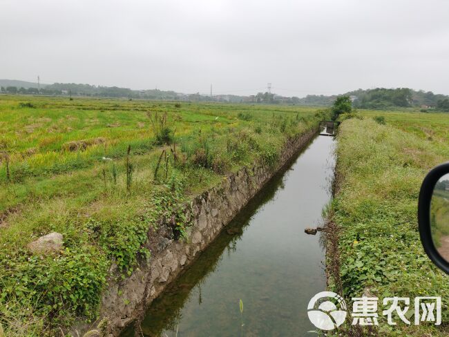 村集体土地流转