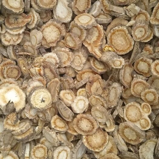 鄄城县防风，选片，大片防风，500克起批，现货供应，中药材批发