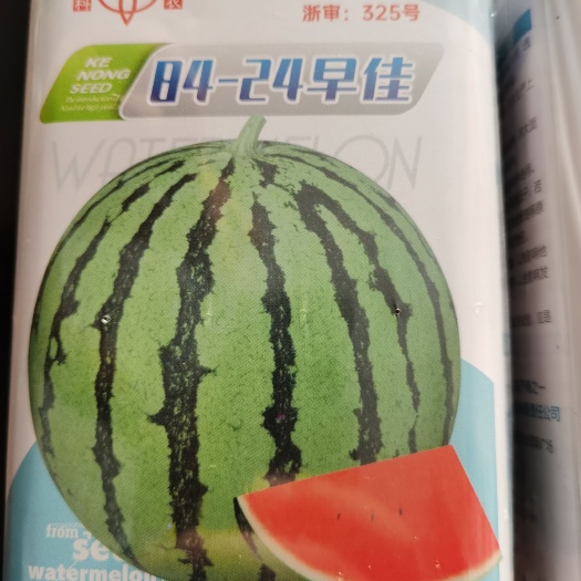 南阳早佳8424西瓜种子  科农8424 科农种子质量取胜