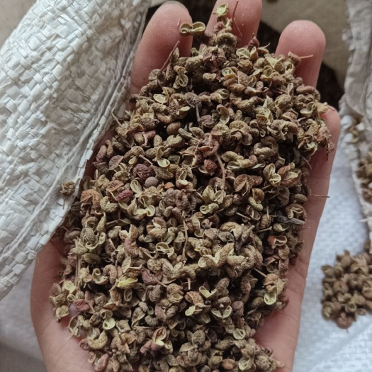 枣庄山东本地大青稞纯净货