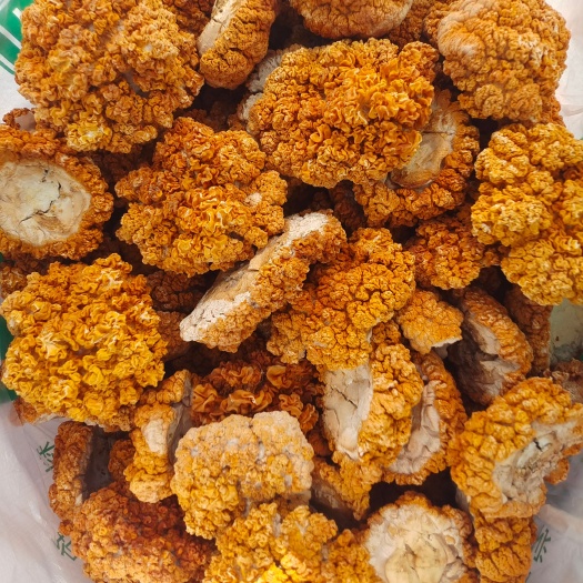 西峡县金耳干品