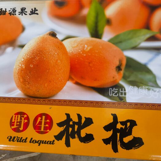 蒙自市蒙自枇杷