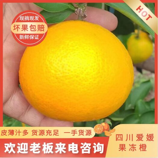 蓬安县爱媛38号果冻橙，色泽鲜艳，甜度高量大从优。