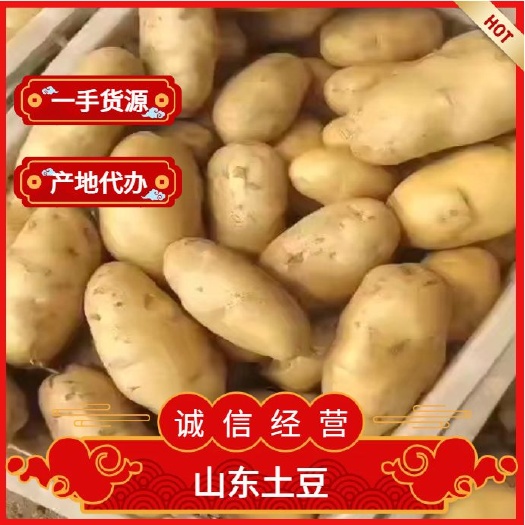 莒县新土豆大量上市，质优价廉，全国代发