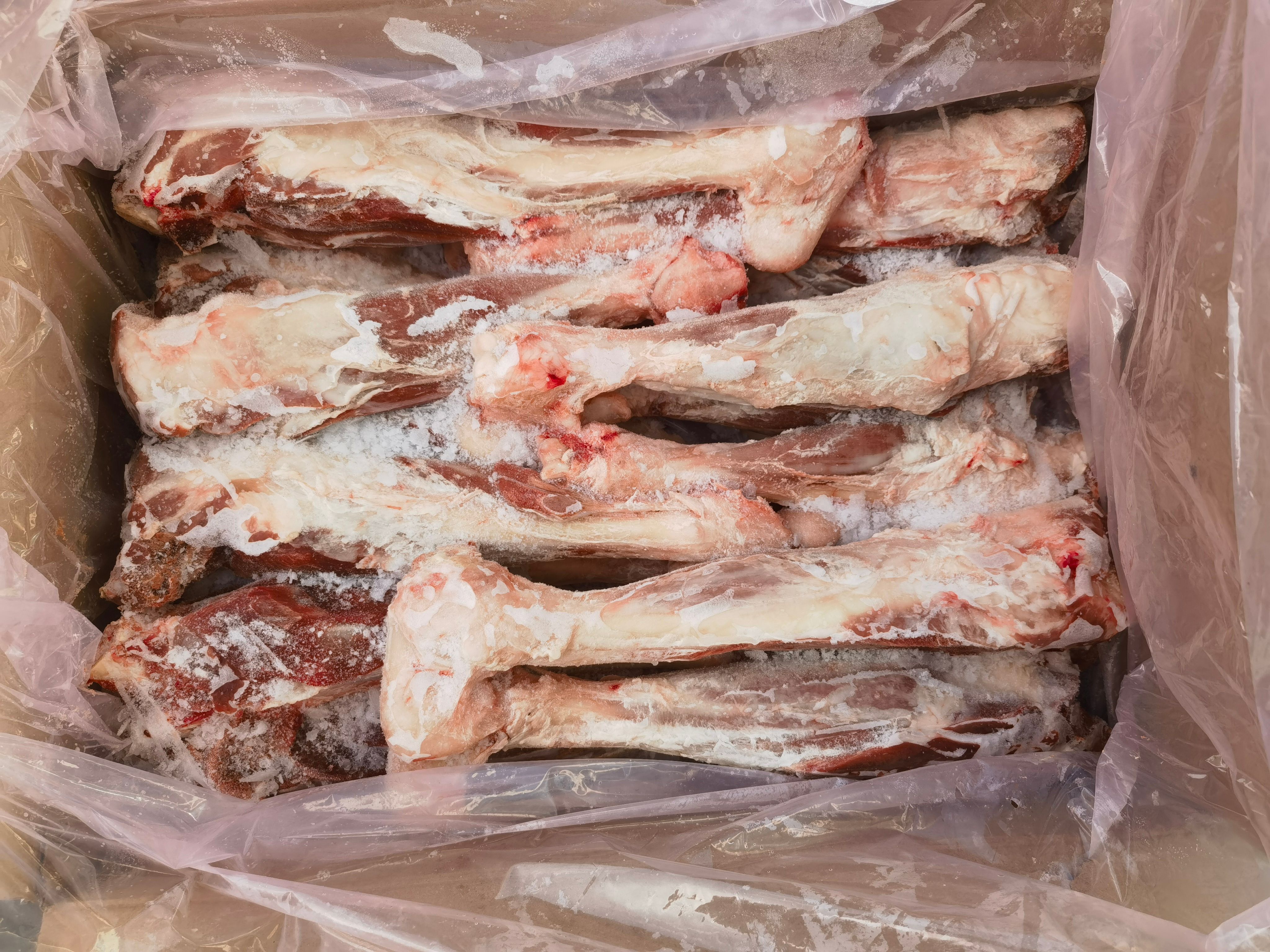 美洋洋羔羊后棒，全部新货，天天新货新日期，新鲜