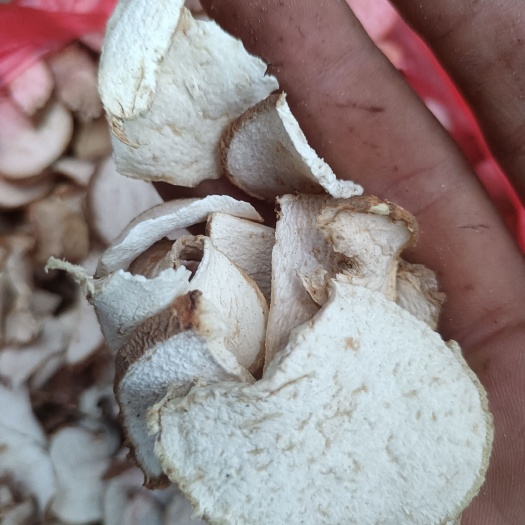 麻城市洋芋  土栾儿干货
