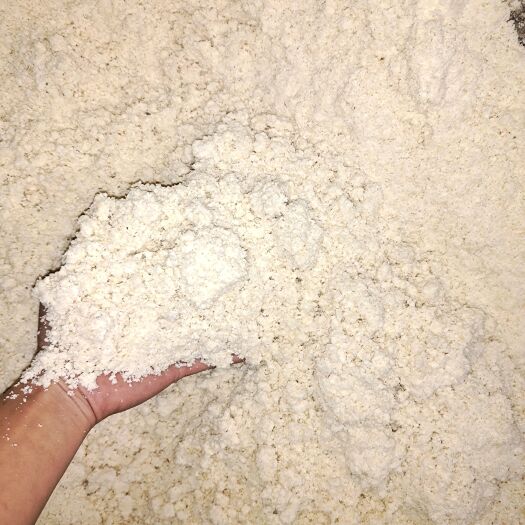 射洪市豆渣 黄豆渣