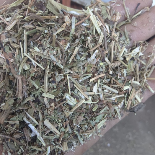 新泰市花生秧