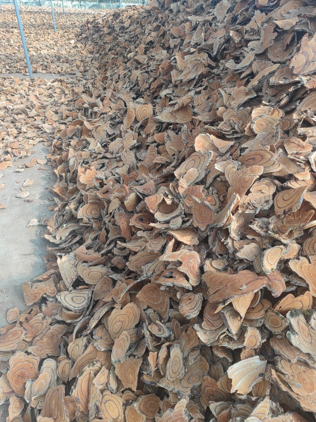 鸡血藤，干片，