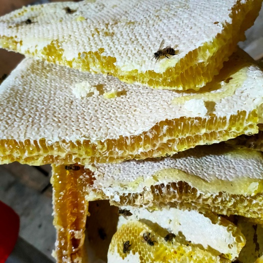 沿河县正宗土蜂蜜，假一赔十