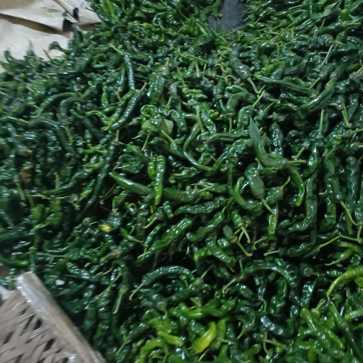 费县皱皮椒