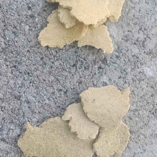 东港市瓦片豆胚