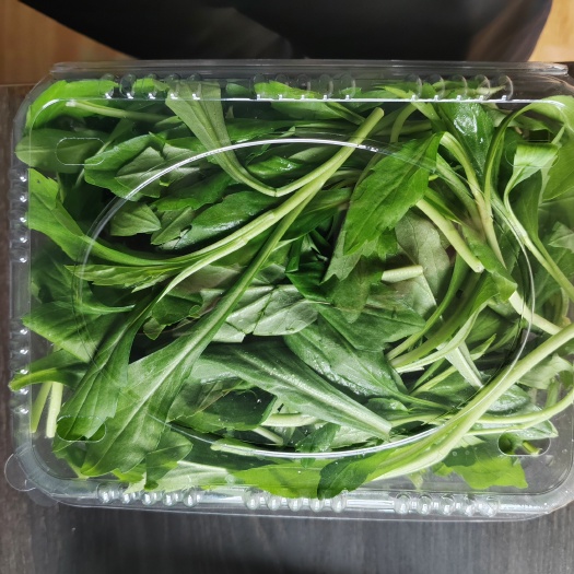 杭州马兰头