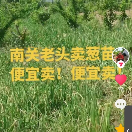 孟州市大葱