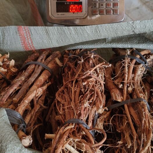 钟山县新貨上市，五指毛桃