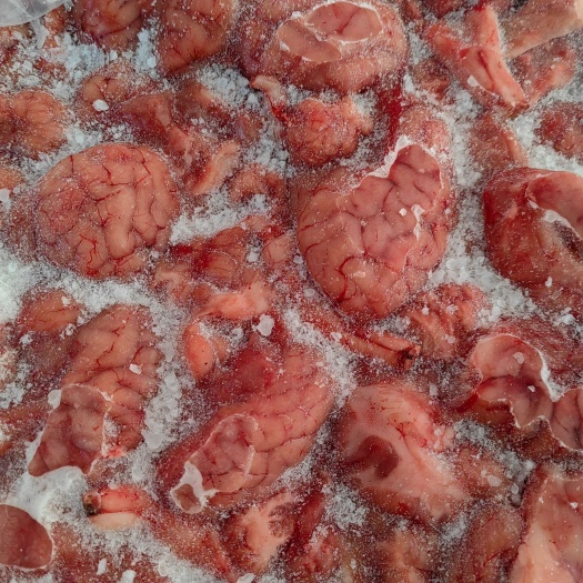 河间市鲜冻羊脑