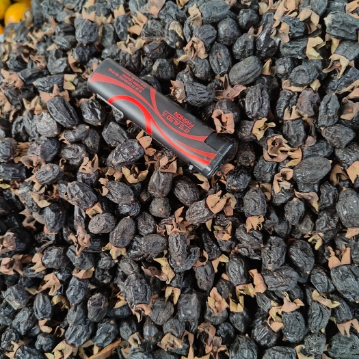 思茅踏枝果又叫野柿子