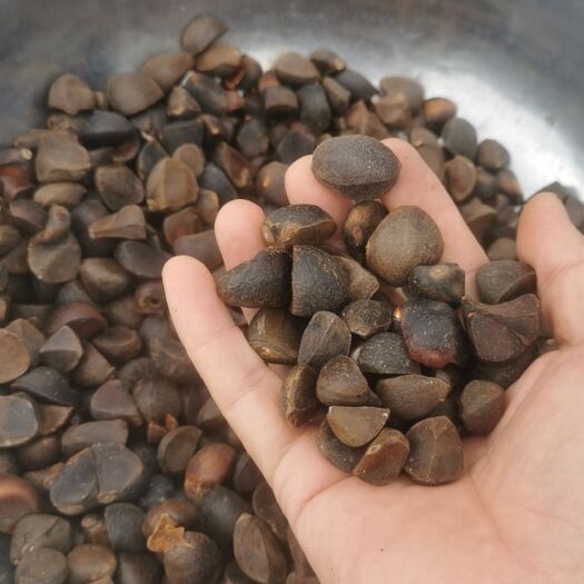 宁乡市乡下茶籽油，量大价优。假一赔十