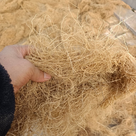 新泰市徐长卿精品批发