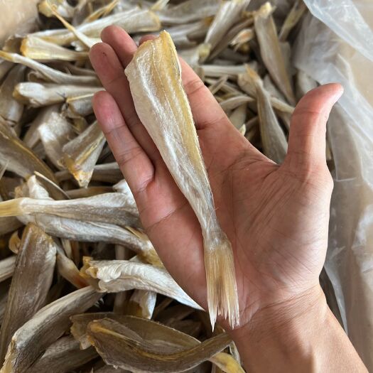 北海红娘鱼干角条20斤一箱去头去内脏淡盐小鱼干咸鱼干