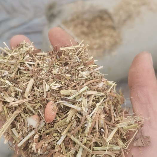 大名县花生秧
