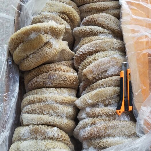 汕头干水金钱肚