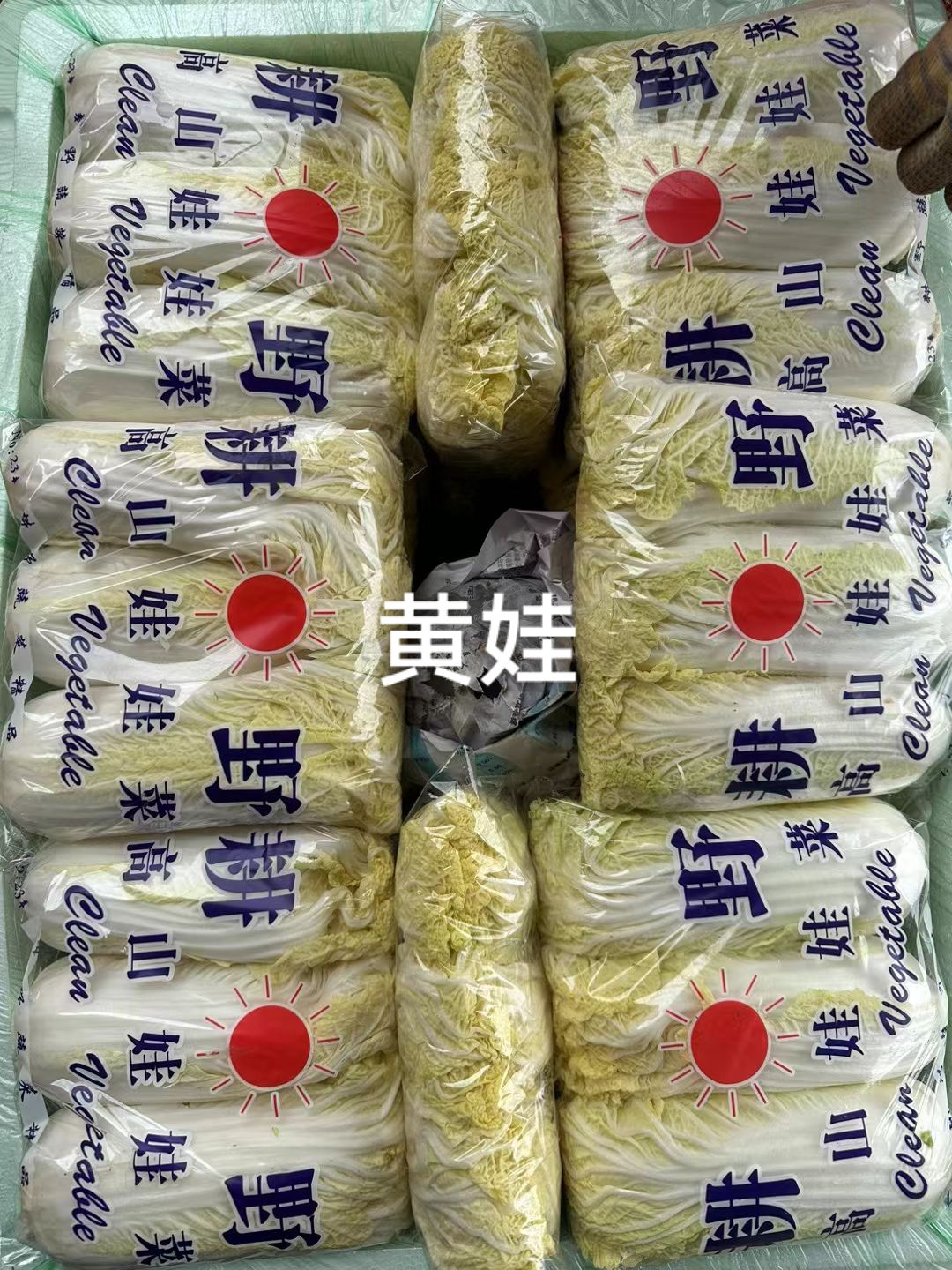 云南娃娃菜
