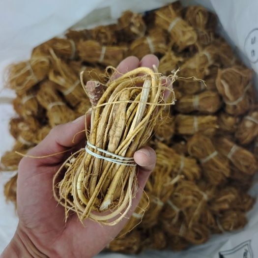 玉林五指毛桃