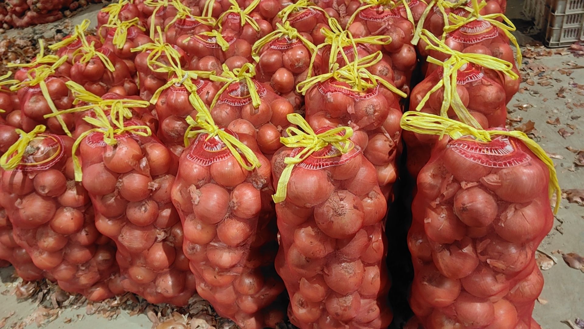 【黄皮洋葱】皮毛干净，质量稳定，全年不断货