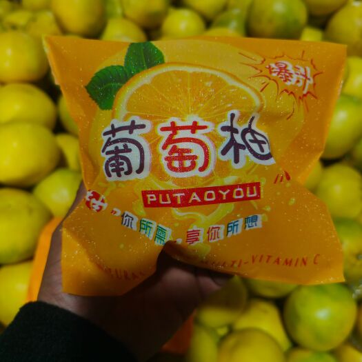 平和县黄金葡萄柚  葡萄柚  爆汁葡萄柚 价格便宜  产地直发
