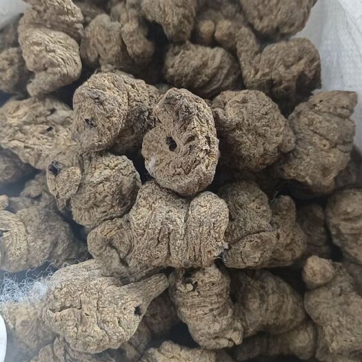 巩义市地黄干生地（种植户）