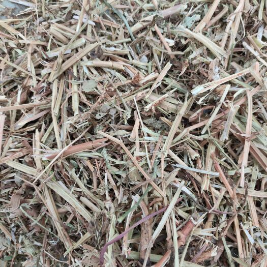 唐河县花生秧草料