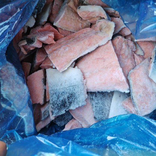 青岛三文鱼边角料三文鱼大块碎肉块无骨新鲜商用批发