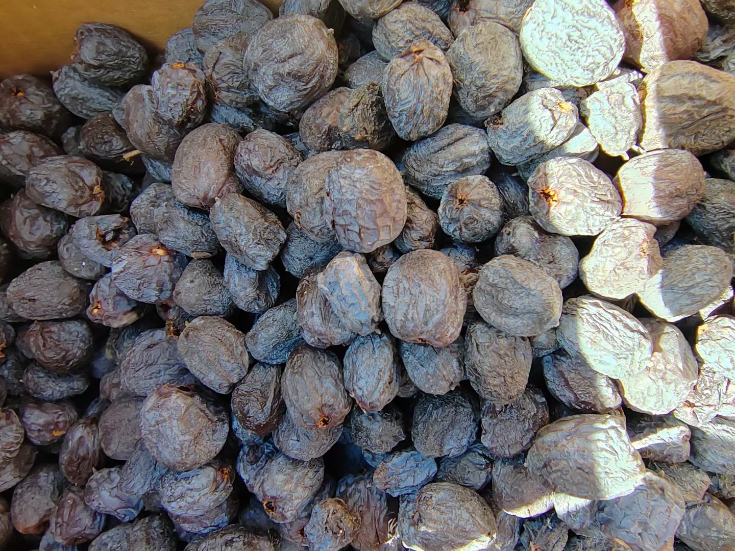 黑枣