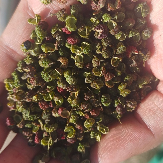 西昌市四川凉山金阳青花椒 味道特麻特香 现烤干发货