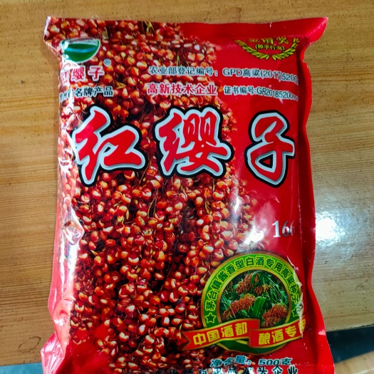 巢湖红樱子高粱