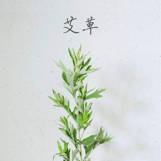 艾根