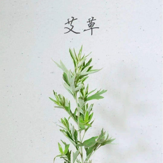 大名县艾根