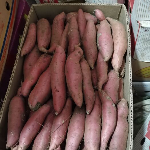 本溪烟薯