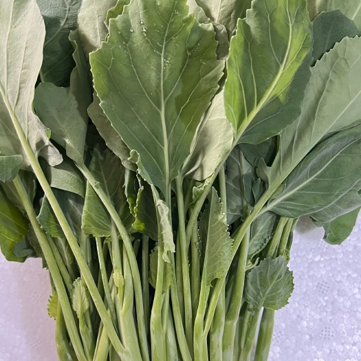 杭州菜心