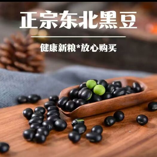 林甸县东北非转基因青仁黑豆，当年新豆，生豆芽，磨豆粉佳，种子