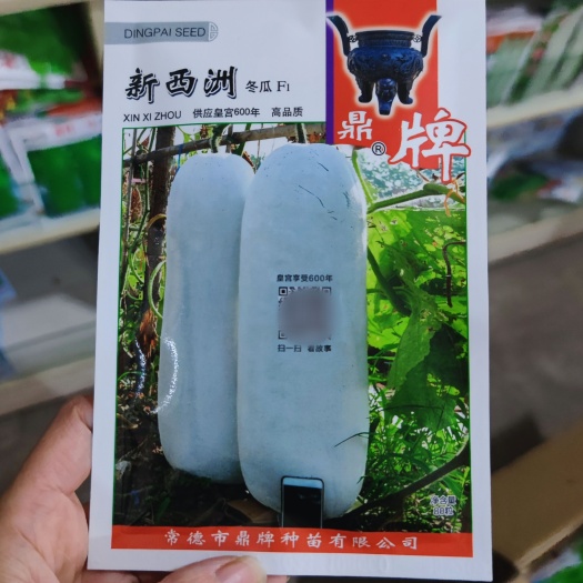 武汉鼎牌新西洲冬瓜种子中熟大冬瓜种籽果皮披白粉青皮肉质细腻高产