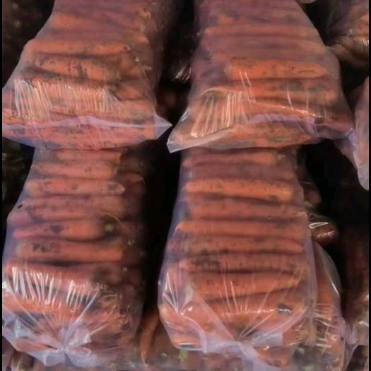 山西红萝卜胡萝卜精品上市，支持电商市场批发，质量保障