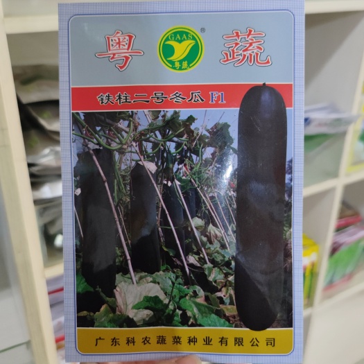 武汉广东农科院铁柱二号冬瓜种子F1粤蔬铁心黑皮冬瓜无棱沟中晚熟高