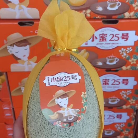 乐东县海南小蜜瓜