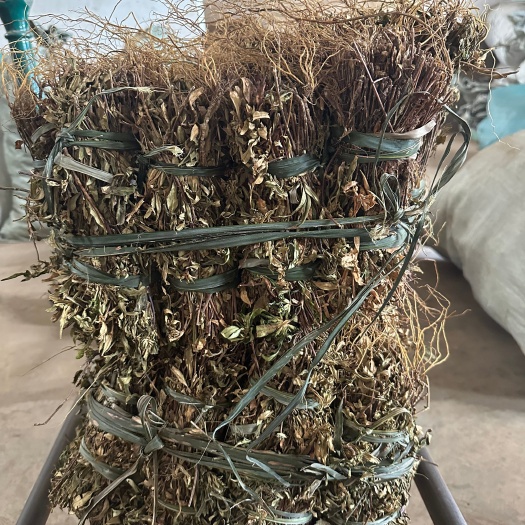 云县龙胆全草
