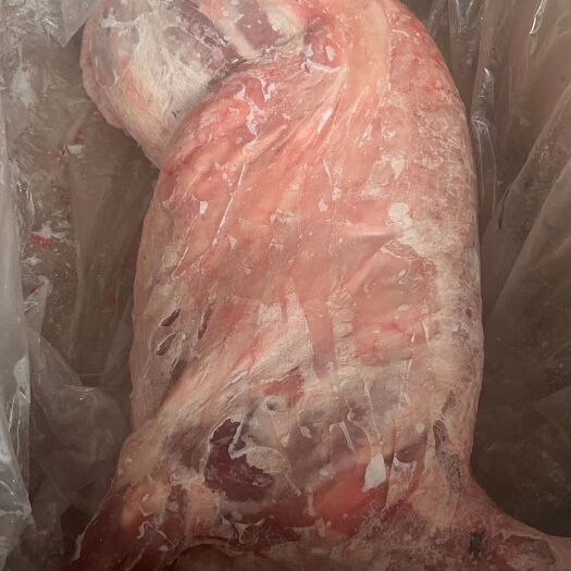 河间市烤全羊专用小羊腔子颜色漂亮