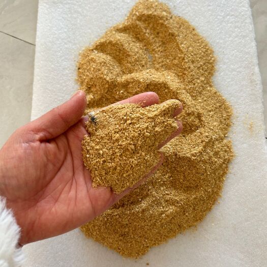 石家庄低毒喷浆玉米皮：