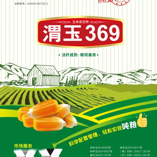 渭南玉米种子厂家批发