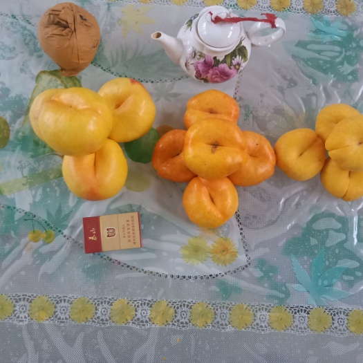 泰安黄金蟠桃树苗 蟠桃树苗 大个油蟠 油蟠桃树苗基地